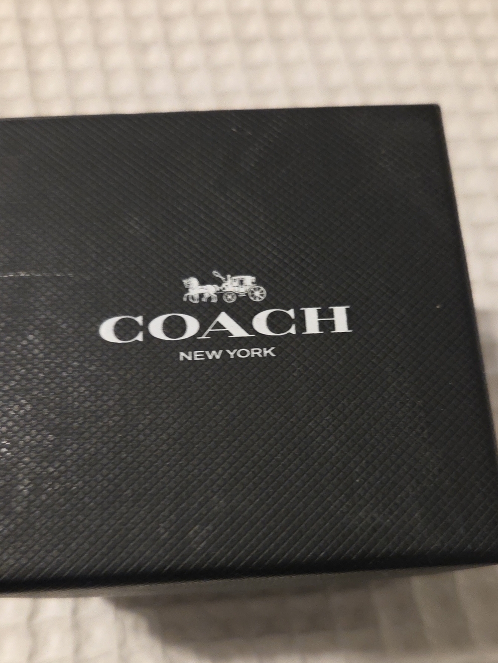 Coach Large Loop Earrings